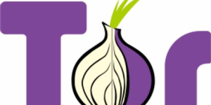 Navegador Tor - Qué es y cómo utilizarlo