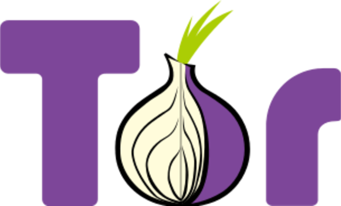 Navegador Tor - Qué es y cómo utilizarlo - Cómo funciona TOR